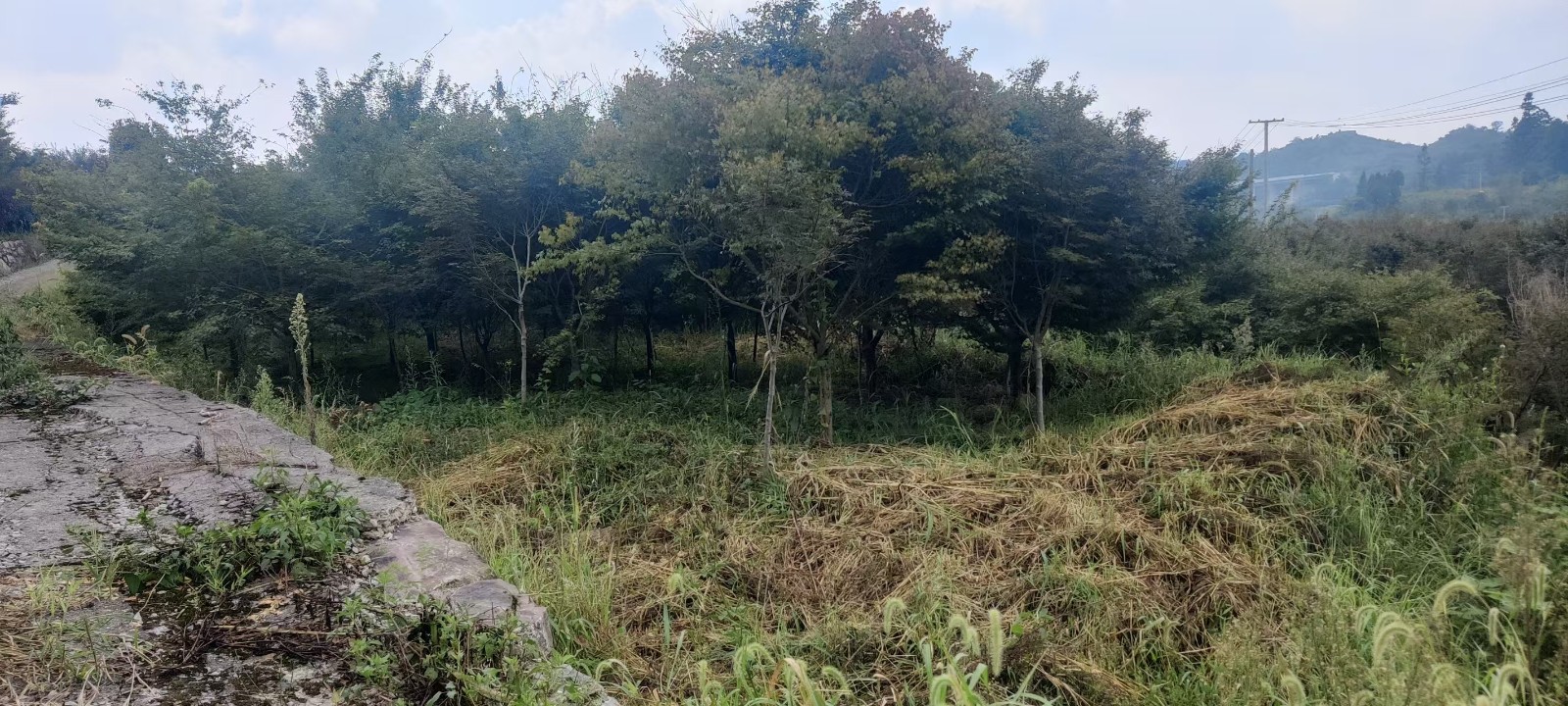 1758790770336569.jpg 圖片關(guān)鍵詞