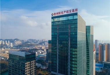 圍繞國(guó)發(fā)2號(hào)文件精神  聚力“強(qiáng)省會(huì)”五年行動(dòng)  打造綜合性要素交易平臺(tái)