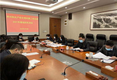 貴州陽光產(chǎn)權(quán)黨委班子督導黨支部組織生活會