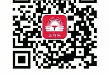 “貴商易”接入“貴州省統(tǒng)一實(shí)名認(rèn)證系統(tǒng)”