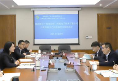 經驗交流  共促發(fā)展——西南聯合產權交易所、西藏電子商務有限公司 與貴州陽光產權交易所交流座談