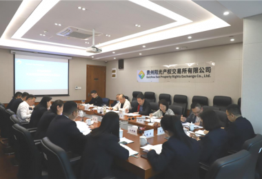 貴州省地方金融監(jiān)管局、貴州證監(jiān)局、貴陽市金融辦到貴州陽光產(chǎn)權(quán)交易所、貴州環(huán)交所開展權(quán)益類交易場(chǎng)所調(diào)研