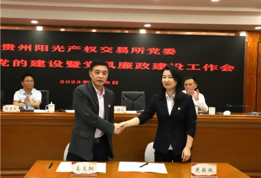 貴州陽光產(chǎn)權(quán)交易所黨委召開2023年黨的建設暨黨風廉政建設工作會