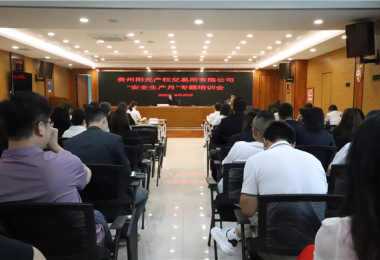 貴州陽(yáng)光產(chǎn)權(quán)交易所有限公司舉辦2023年“安全生產(chǎn)月”專(zhuān)題培訓(xùn)