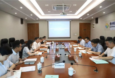 西南聯(lián)合產(chǎn)權交易所、西藏電子商務有限公司與貴州陽光產(chǎn)權交易所交流座談會