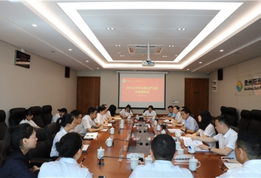 堅(jiān)持自我革命 筑牢發(fā)展基石——貴州陽光產(chǎn)權(quán)交易所黨委召開2023年上半年全面從嚴(yán)治黨分析研判會(huì)